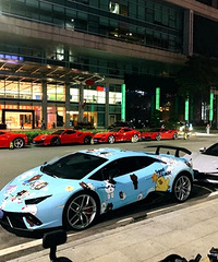 ʲô�����ܿ������ֳ�