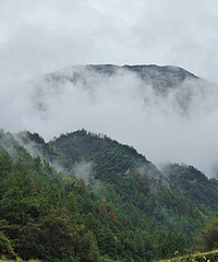 �ɾ��ֿӵ����۱�ͽ��