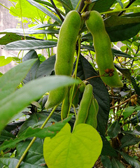 [������]����ʲô����