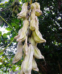 [������]����ʲô����