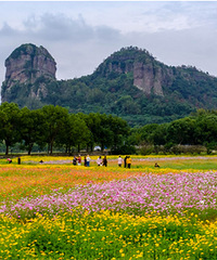 ��侾�����ɫ