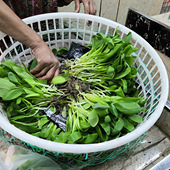 ������������