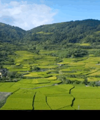 这些红遍抖音的小众目的地,居然藏了中国80%的极致美景!