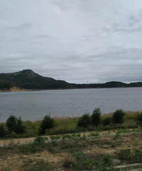 �������ռ�NO.54��+�����Ļƽ���