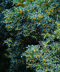 [����]�㽭˽�ص�8���͹��������~