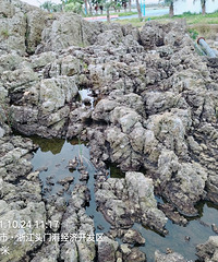 �ٺ���ɳ�壺�������ĵ�Ϳ�㣬����������Ŀ��С����