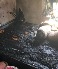 �ܺ����ڼ����Ծ������...