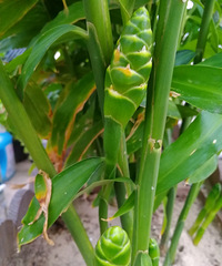 ����һ���Ľ���������ү�߰�ʮ����Ҳû����