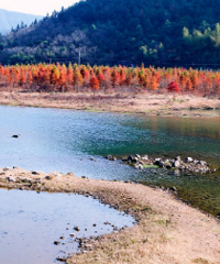 [����]̨����Щ�ط��ʺϴ�����Ұ�͡�Ұ��