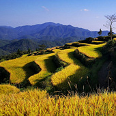 ��̨�̽�����