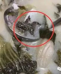 ���ˣ�Ů���ڲ����Գ�һ��ֻ��󡣿������Ӧ