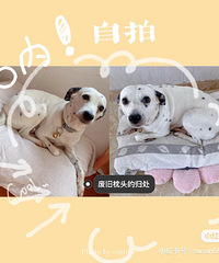 ���껻�µ�0�ɱ�����-������ͷ+ԡ��