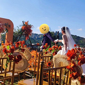 ����Ҫ�ĺ��߻���