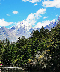 ������衪��ľ���