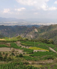 [����]��̨����ɽ�żҾ������мǣ����͵��֣����ҹ�ʯ