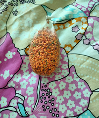 �𻨼������������������