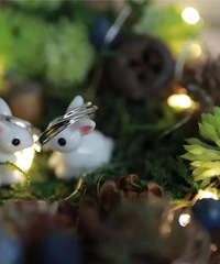 99%���ﶼ����Ե�ϸ�ڣ���6�����ֵ��ָ�б���get