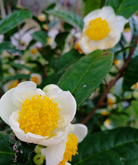 [������]����Ĳ������˻�