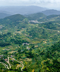 �ٺ���̹��ɫ