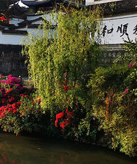 ���Ϻ�˳С��