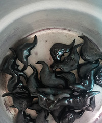 �����������ɫ��Ʒ���й���