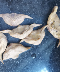 �����������ɫ��Ʒ���й���