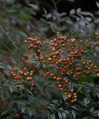 ���Ҹ�̨����Ӱ������������죨·������ɽ�ɷ磩