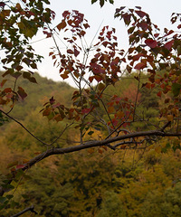 ���Ҹ�̨����Ӱ������������죨·������ɽ�ɷ磩