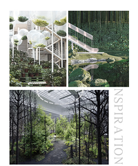 2022��������ɫ��10����ѡ����ɫ��5�ֵ����������