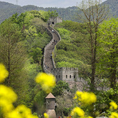 �ų�����