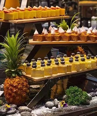 �ͼ�תϣ������������ȯ