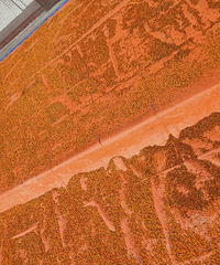 ��ô��𻨣����ж�������