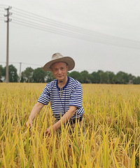 ����ඣ��������ã�