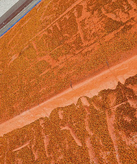 �����ģ�ɹ����ô���