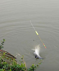 ������һ������