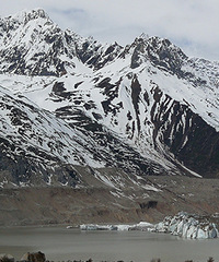 ���ű���