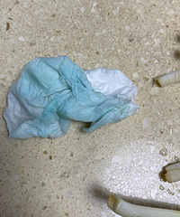 ��Ȼ��Ⱦɫ�У���