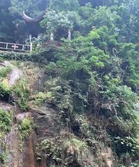 3���к����㽭һ��������Ů�ο�ָ���ߵ��������̲�ס�ˡ�