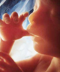 �������1�죬ʤ���10�족��ҽ��Ϊ�ζ����鱦���ڶ�������