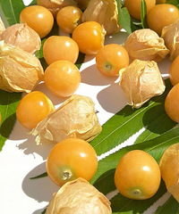 ��˭�Թ������ζ��̫�����