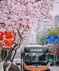 [��Ů��]90���ٺ�GG��Ů�ѣ�ϣ���Ǹ�����������������