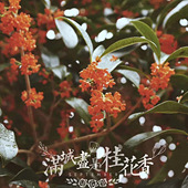 �������һ����