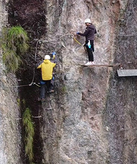 �����ϵ��˶�-������