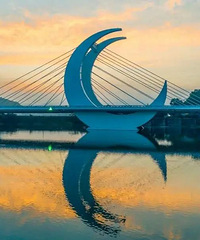 [����]̨�����Ͷ��أ�����컵��ž���