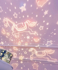 ����յ��������