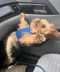 ������һ��������̫�ȵ�����