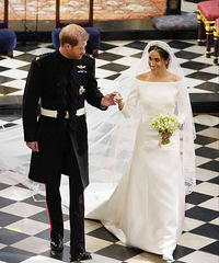 �����������18��������ɴ����