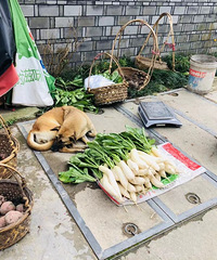 ��Ȥ����˺�һ����С����̯��