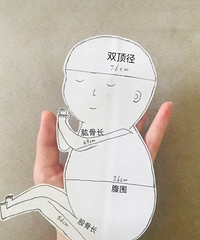 ��B����֪��ʲô����˫�������Źǳ�����Χ���ɹǳ��Ŀ�����