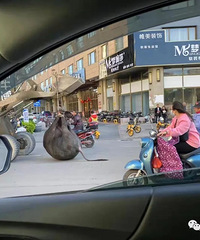 ̫ͻȻ�����ϻ���